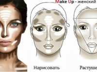Правила нанесения макияжа на лицо пошагово изображение